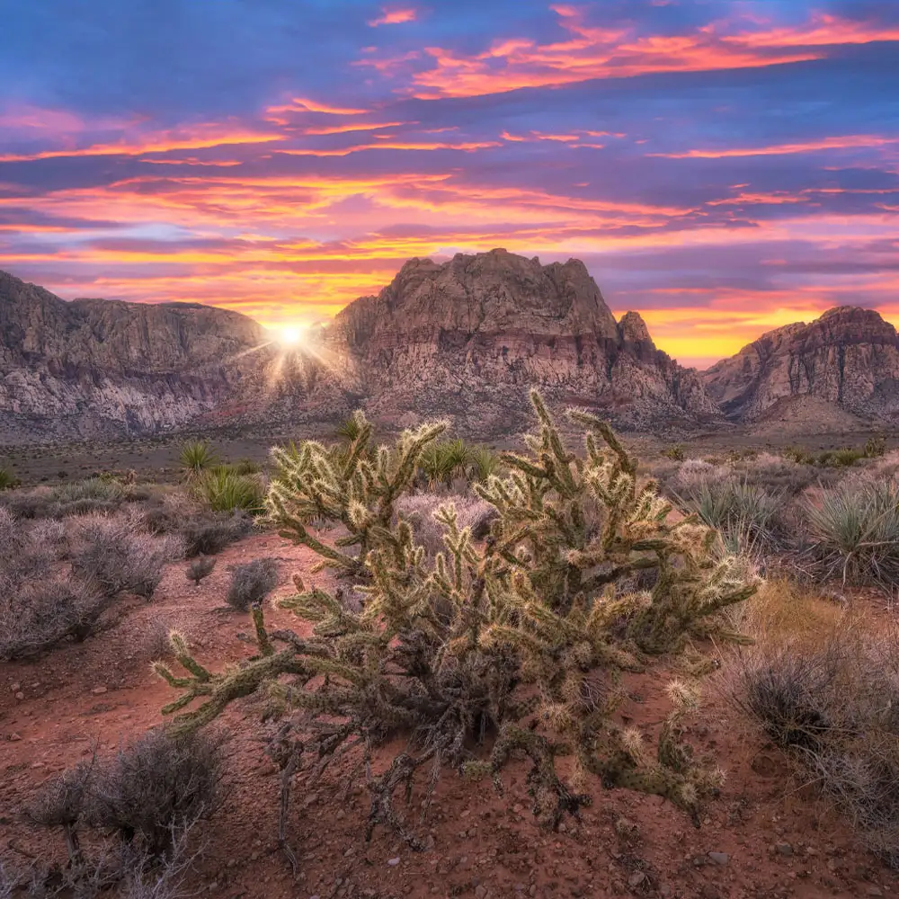Nevada